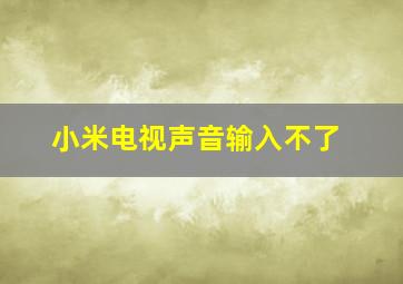 小米电视声音输入不了