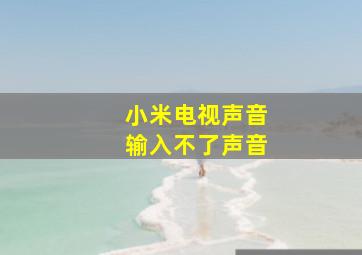 小米电视声音输入不了声音