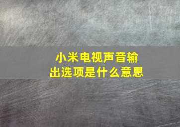 小米电视声音输出选项是什么意思