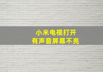 小米电视打开有声音屏幕不亮