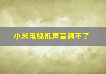 小米电视机声音调不了