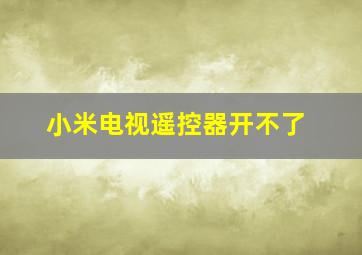 小米电视遥控器开不了