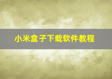 小米盒子下载软件教程