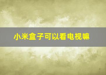 小米盒子可以看电视嘛