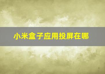 小米盒子应用投屏在哪