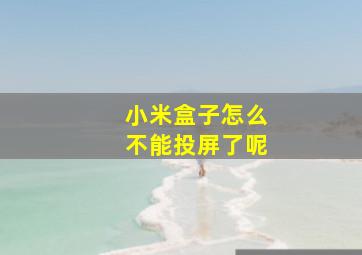 小米盒子怎么不能投屏了呢