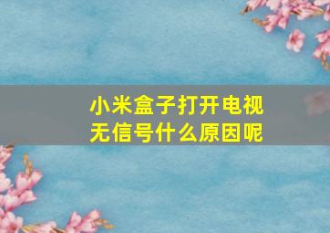 小米盒子打开电视无信号什么原因呢