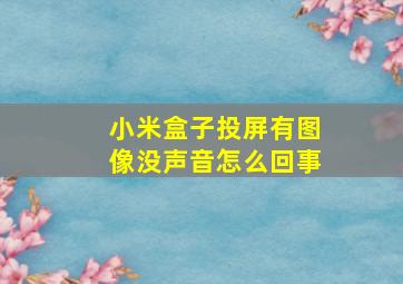 小米盒子投屏有图像没声音怎么回事