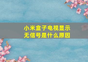 小米盒子电视显示无信号是什么原因