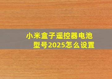 小米盒子遥控器电池型号2025怎么设置