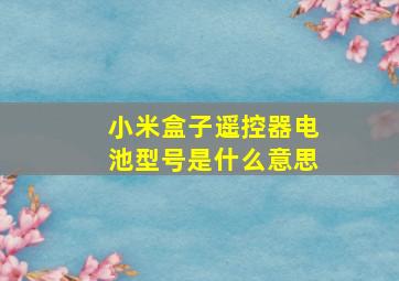 小米盒子遥控器电池型号是什么意思