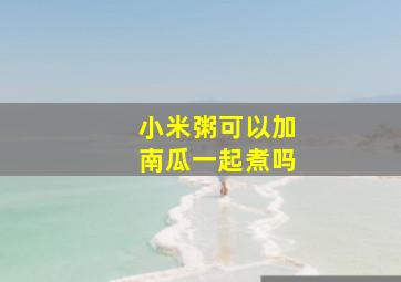 小米粥可以加南瓜一起煮吗