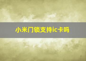 小米门锁支持ic卡吗