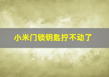 小米门锁钥匙拧不动了