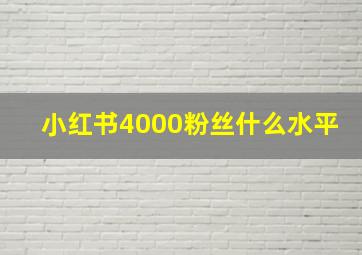 小红书4000粉丝什么水平