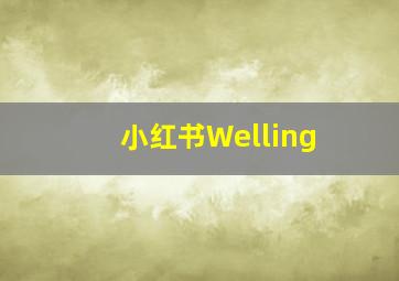 小红书Welling