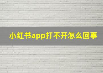 小红书app打不开怎么回事