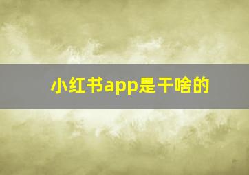 小红书app是干啥的