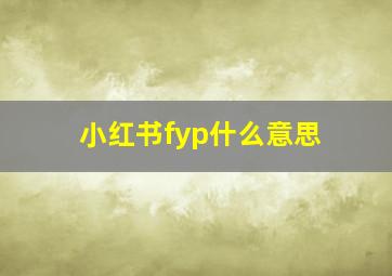 小红书fyp什么意思