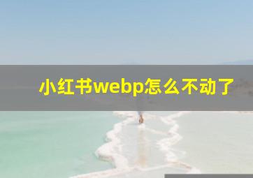 小红书webp怎么不动了