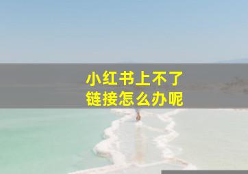 小红书上不了链接怎么办呢