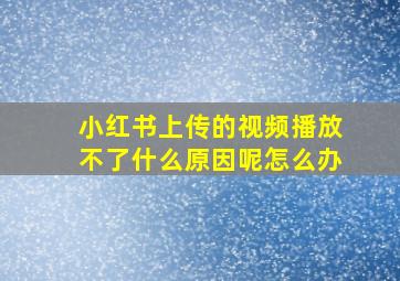 小红书上传的视频播放不了什么原因呢怎么办