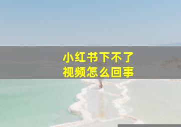 小红书下不了视频怎么回事