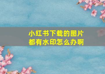 小红书下载的图片都有水印怎么办啊