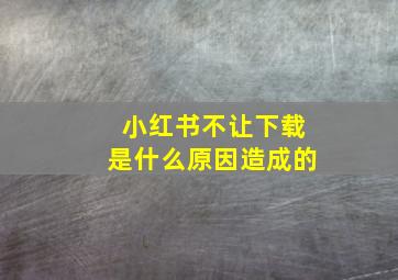 小红书不让下载是什么原因造成的