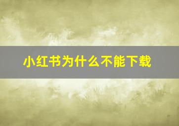 小红书为什么不能下载