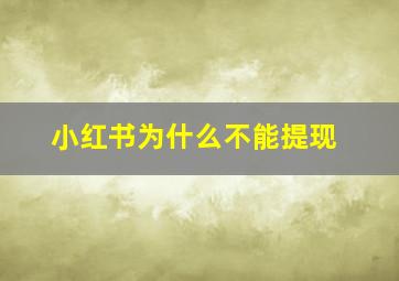 小红书为什么不能提现