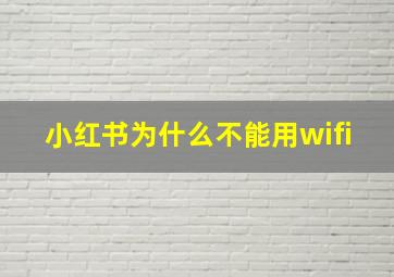 小红书为什么不能用wifi