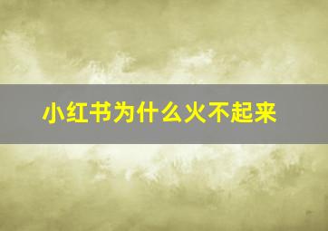 小红书为什么火不起来