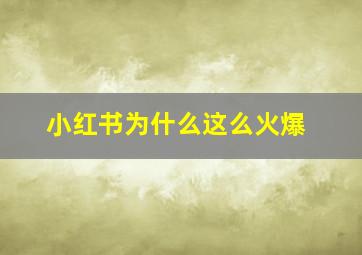 小红书为什么这么火爆