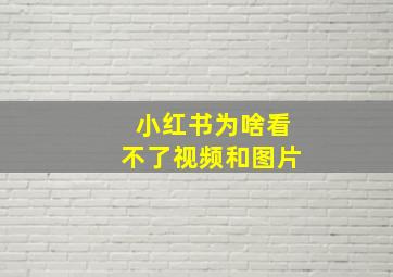 小红书为啥看不了视频和图片