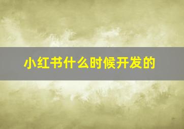 小红书什么时候开发的