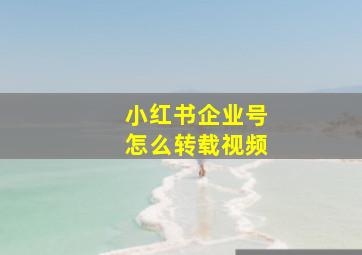 小红书企业号怎么转载视频