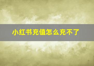 小红书充值怎么充不了