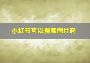 小红书可以搜索图片吗