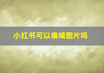 小红书可以编辑图片吗