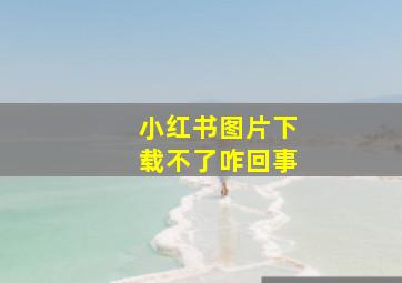 小红书图片下载不了咋回事