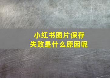 小红书图片保存失败是什么原因呢