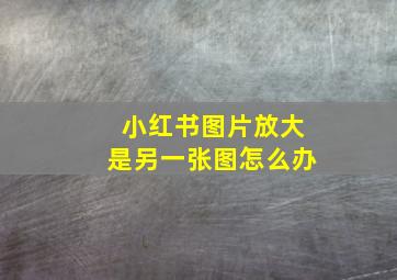 小红书图片放大是另一张图怎么办