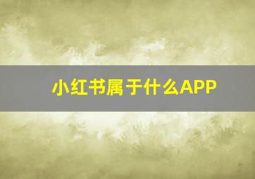 小红书属于什么APP