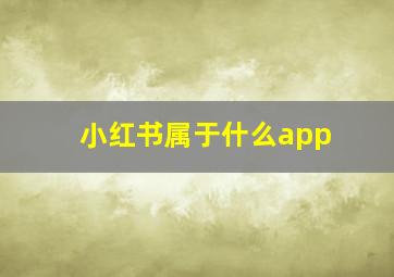 小红书属于什么app