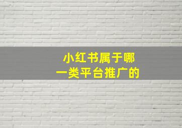 小红书属于哪一类平台推广的