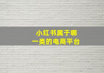 小红书属于哪一类的电商平台