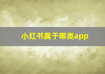 小红书属于哪类app