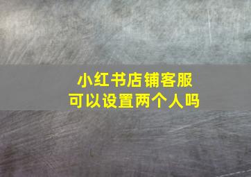 小红书店铺客服可以设置两个人吗