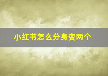 小红书怎么分身变两个